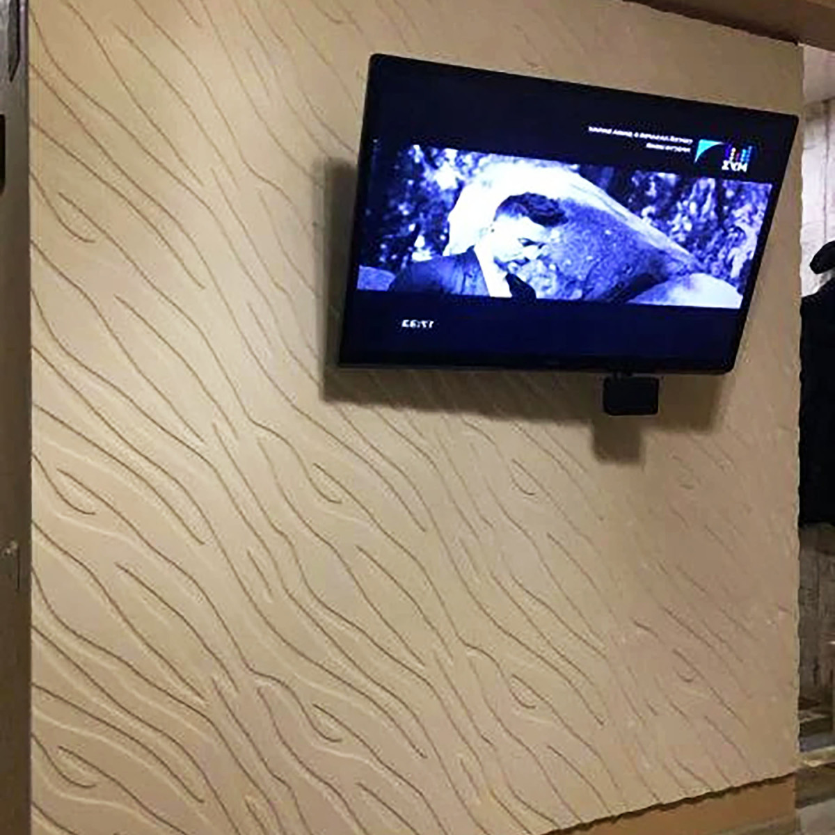 Гіпсові панелі Зебра (Zebra)