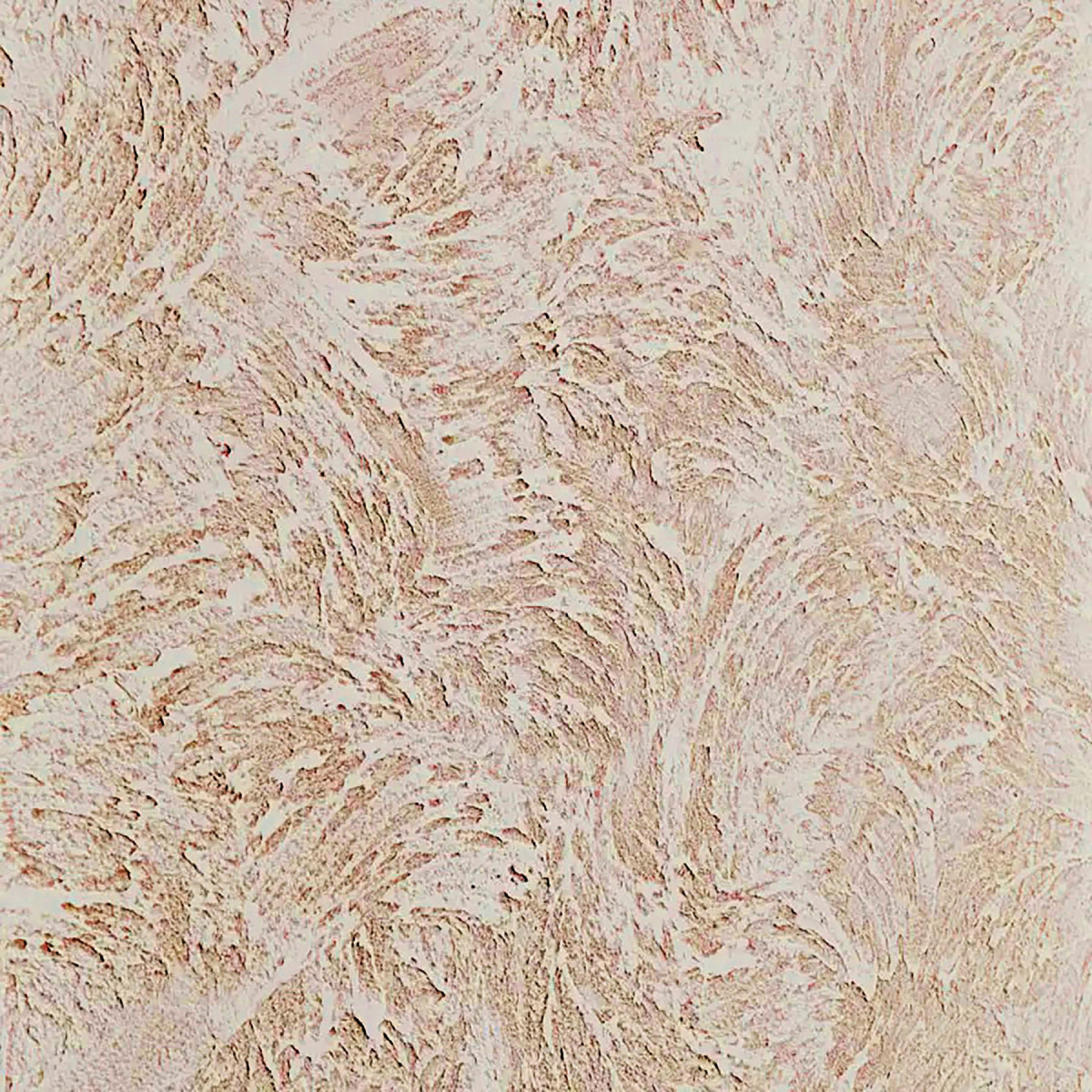 MURO ANTICO Декоративна штукатурка Марсельський віск