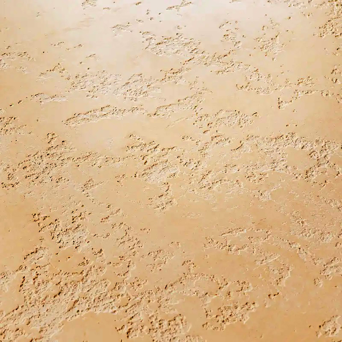 Декоративна штукатурка Marmorino Pasta Media 5кг