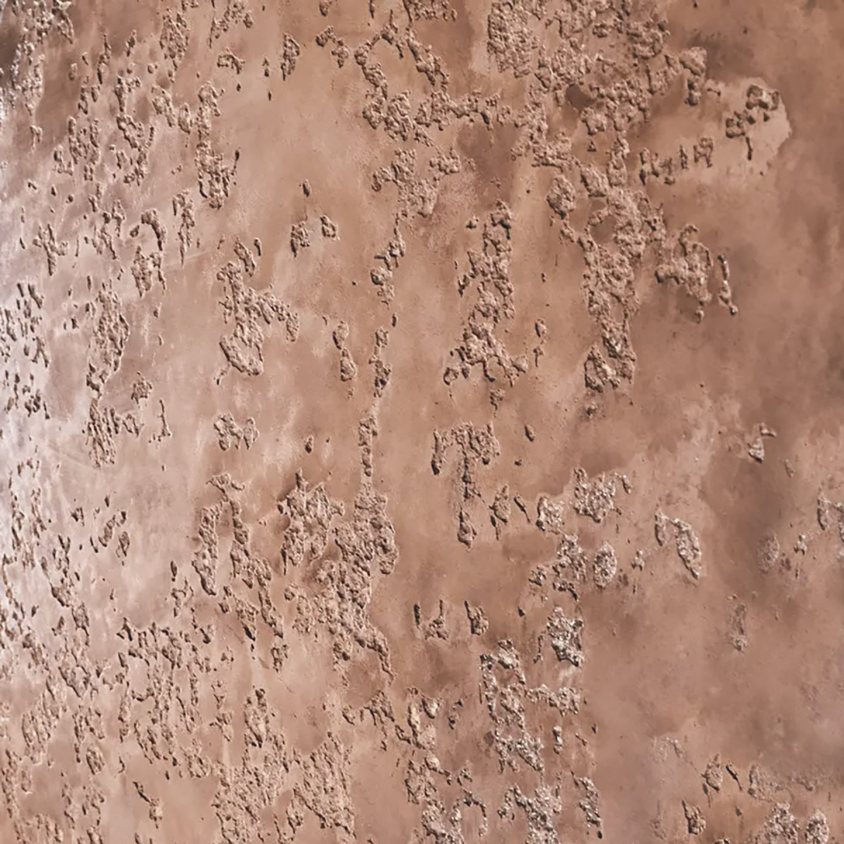 Marmorino Veneto Polvere Bianco Декоративна Штукатурка 