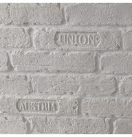 Гіпсова плитка Австрія Біла 1 кв.м