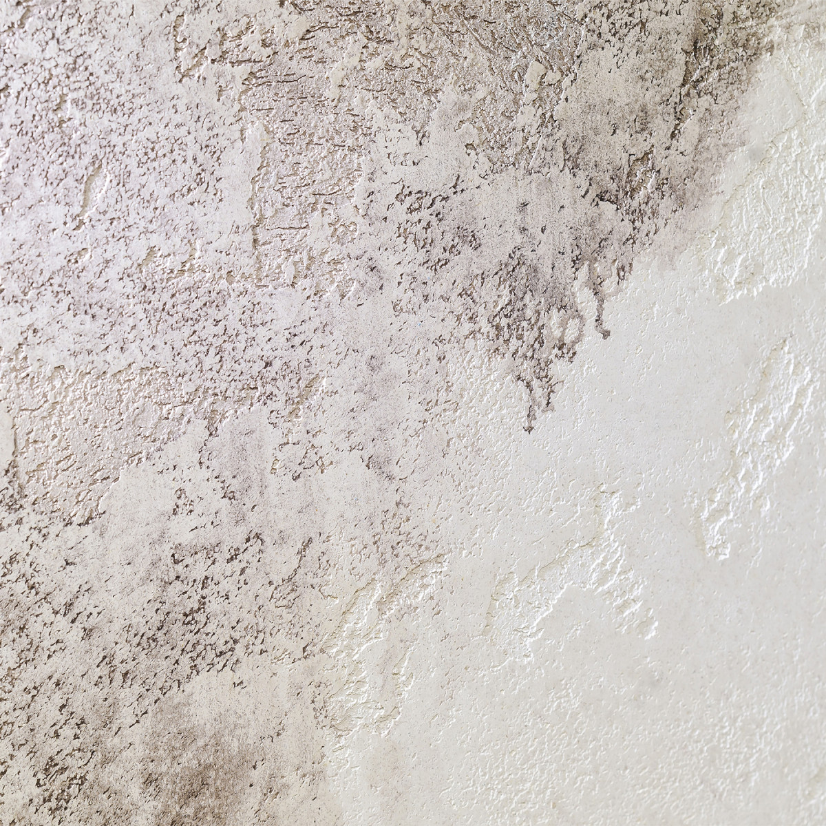 Marmorino Polvere Medio Veneto Bianco Декоративна штукатурка