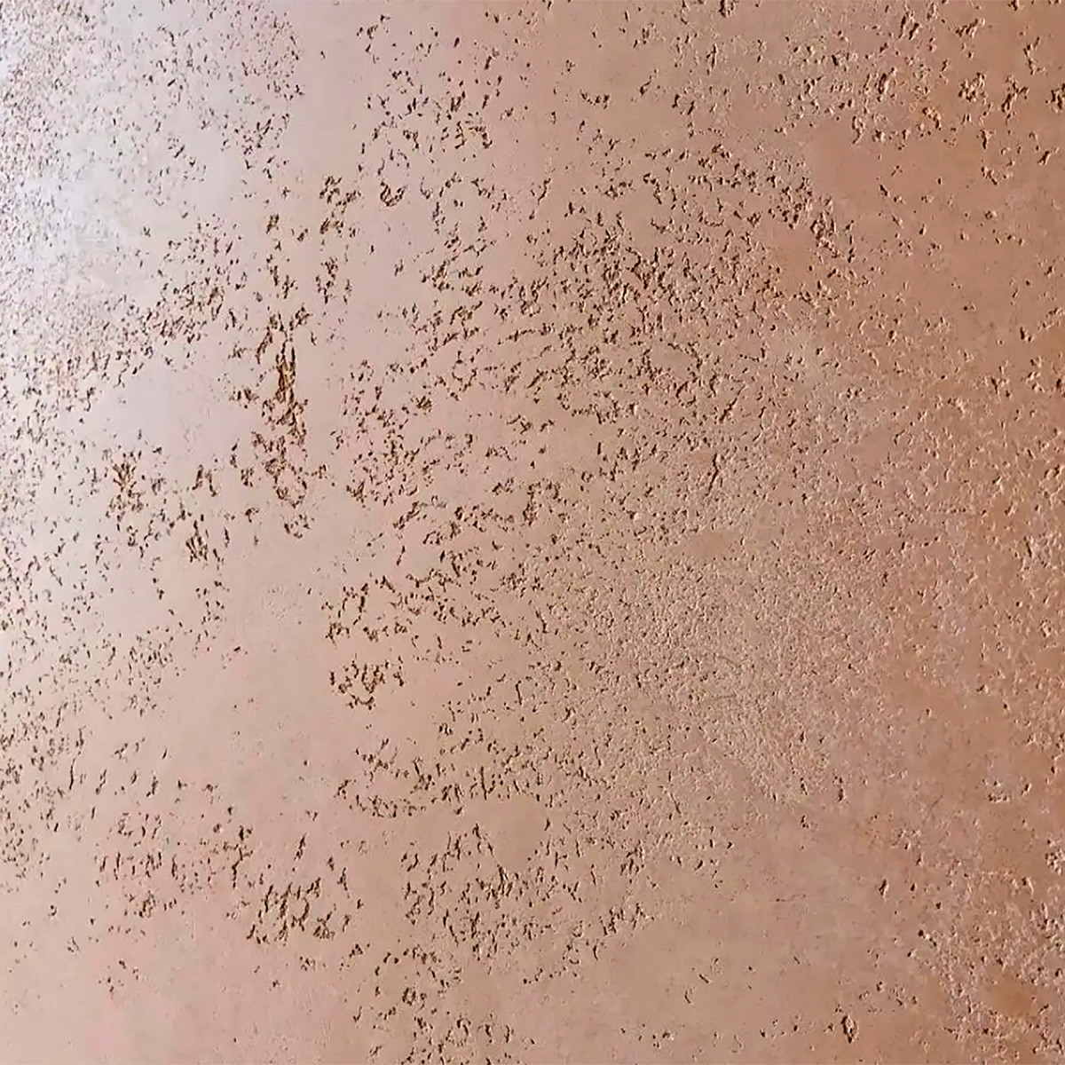 Marmorino Polvere Medio Veneto Bianco Декоративна штукатурка