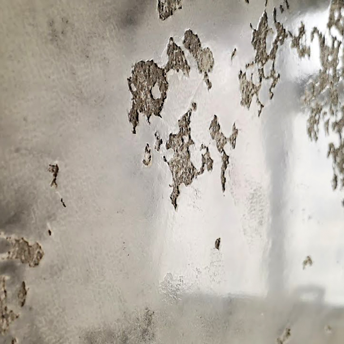 Декоративна штукатурка Гротто (Grotto) під ключ